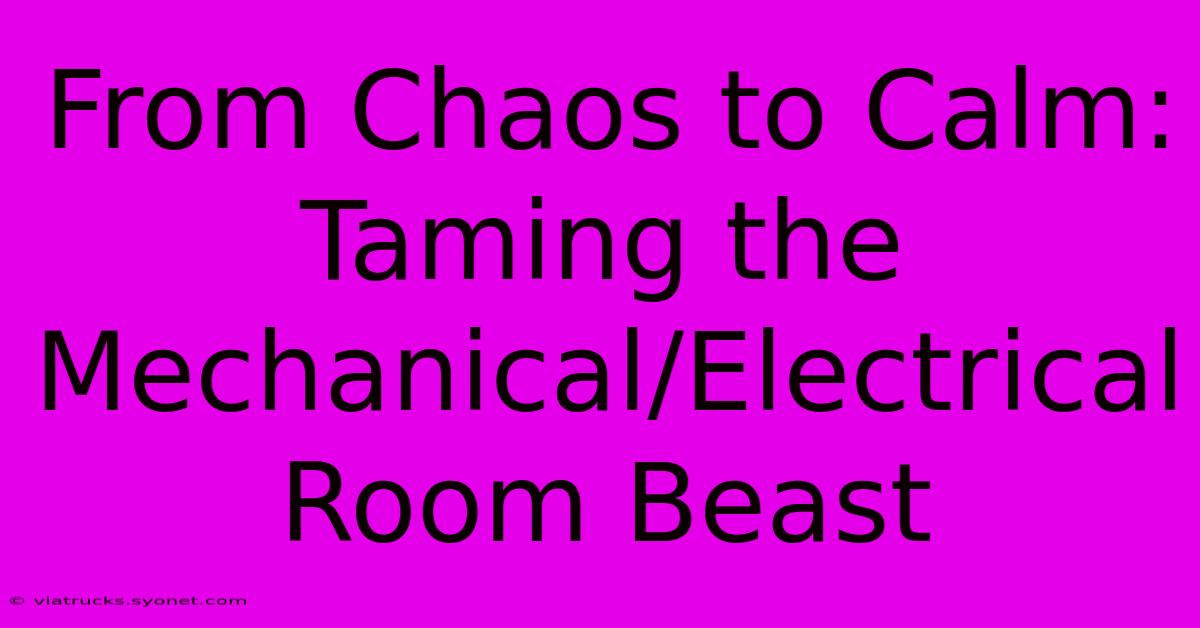 From Chaos To Calm:  Taming The Mechanical/Electrical Room Beast