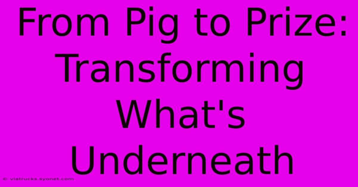 From Pig To Prize: Transforming What's Underneath