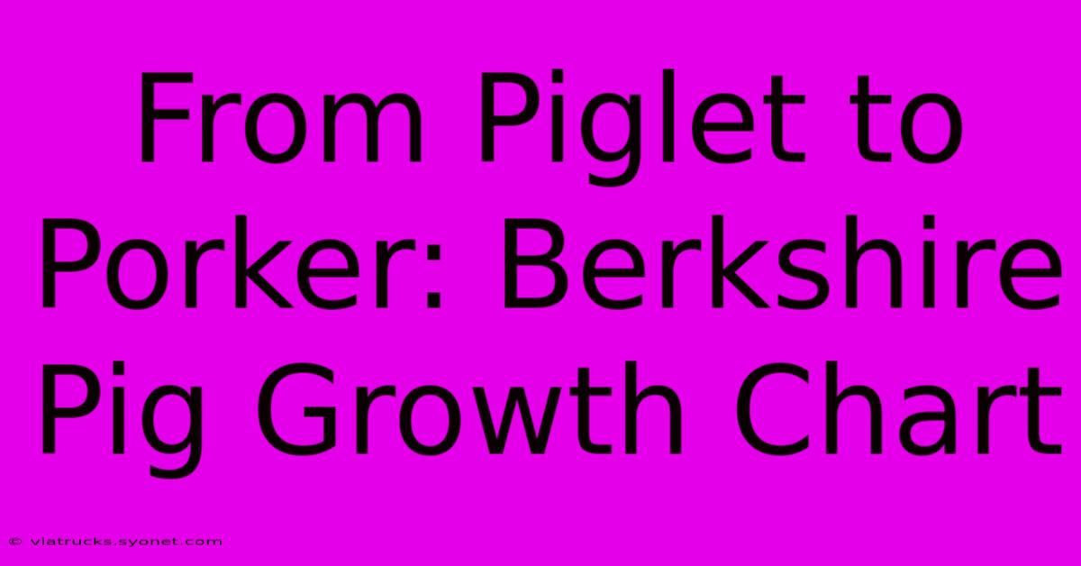 From Piglet To Porker: Berkshire Pig Growth Chart