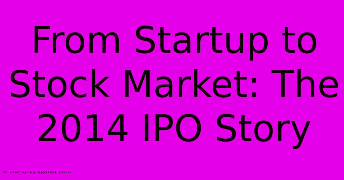 From Startup To Stock Market: The 2014 IPO Story