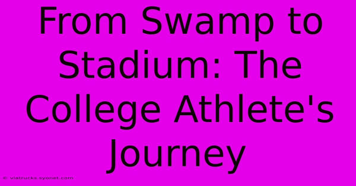 From Swamp To Stadium: The College Athlete's Journey