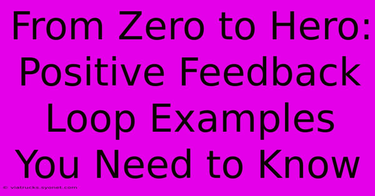 From Zero To Hero: Positive Feedback Loop Examples You Need To Know