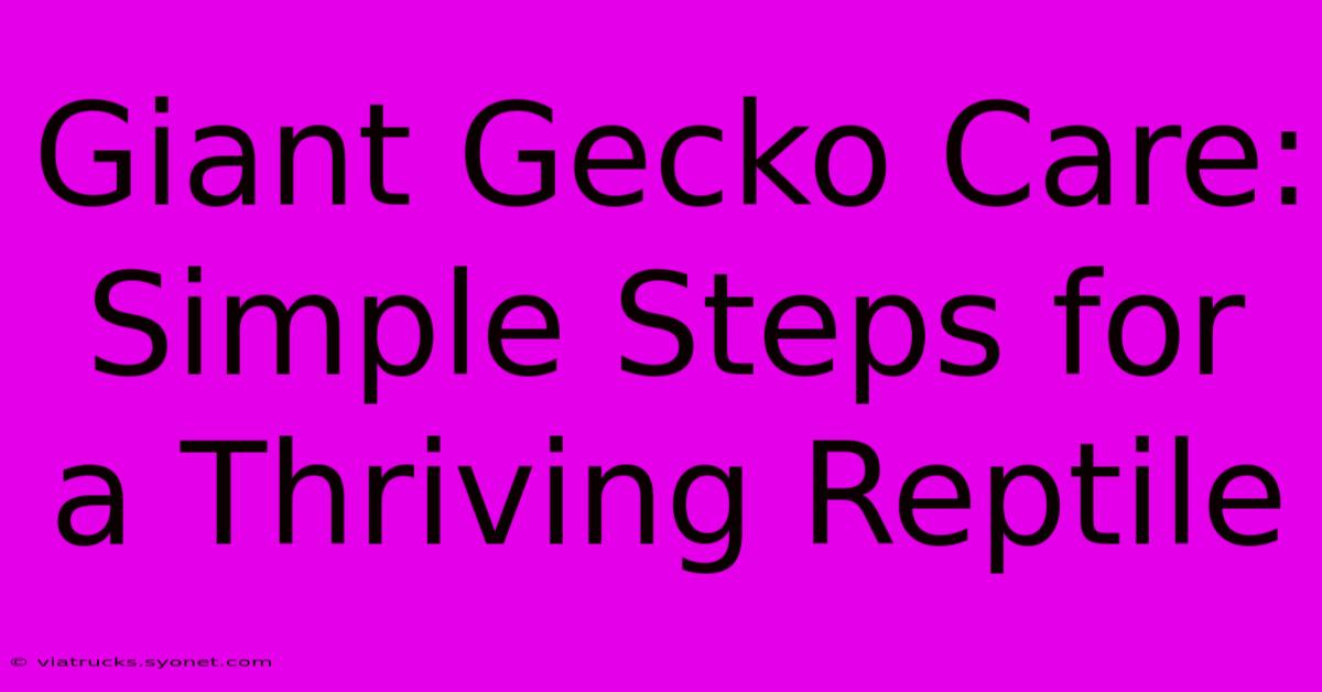 Giant Gecko Care: Simple Steps For A Thriving Reptile