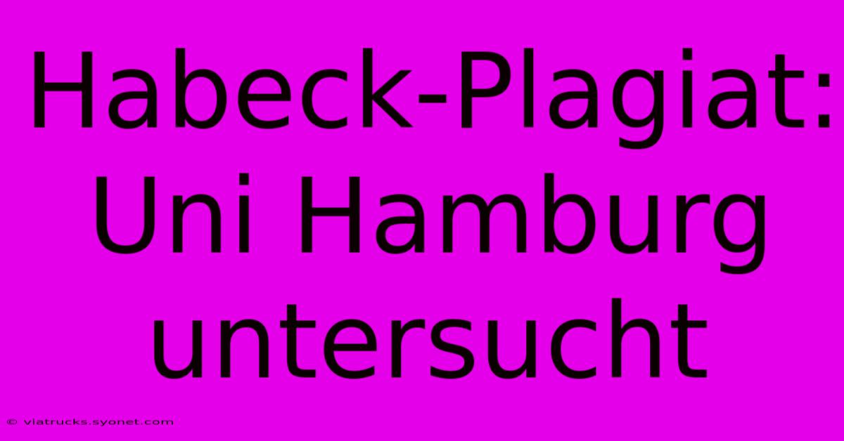 Habeck-Plagiat: Uni Hamburg Untersucht