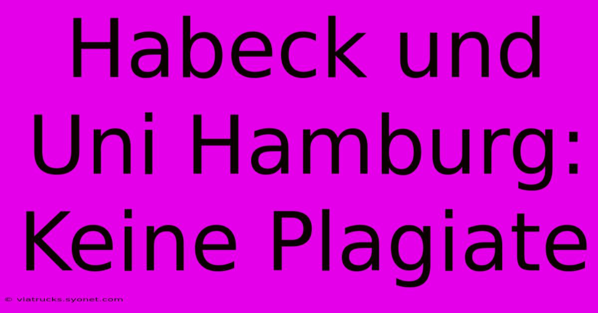 Habeck Und Uni Hamburg: Keine Plagiate