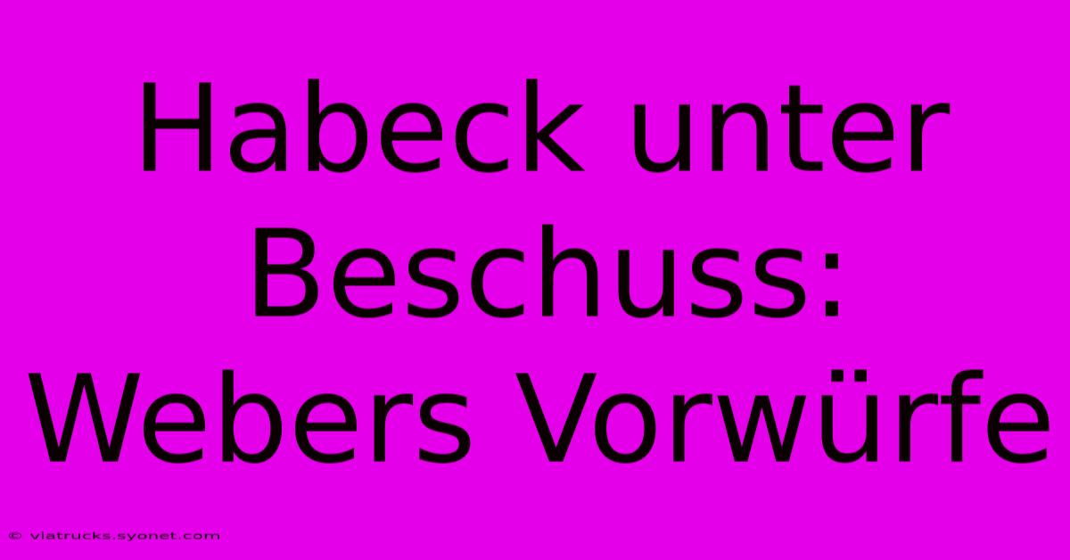 Habeck Unter Beschuss: Webers Vorwürfe