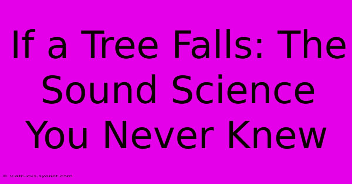 If A Tree Falls: The Sound Science You Never Knew