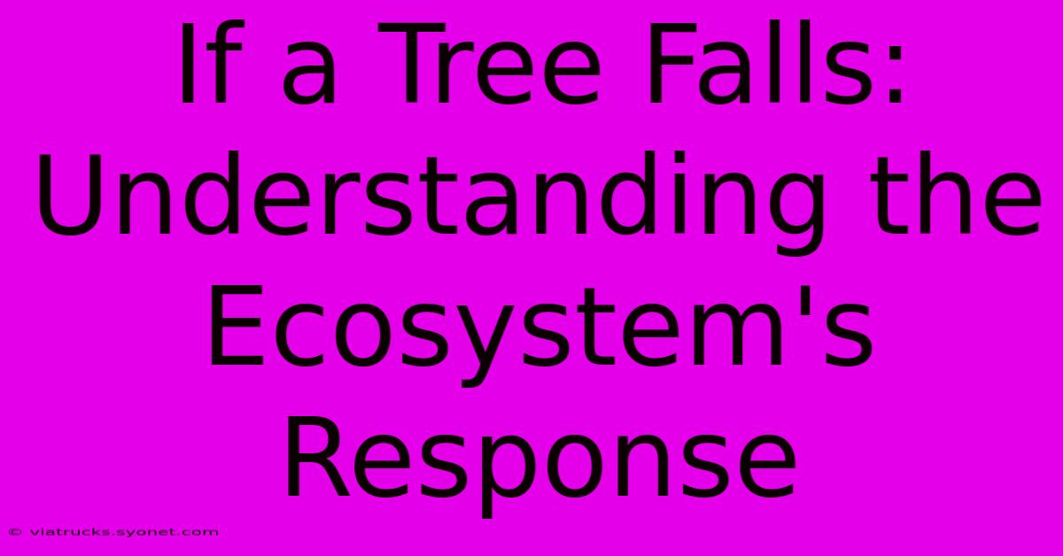 If A Tree Falls: Understanding The Ecosystem's Response