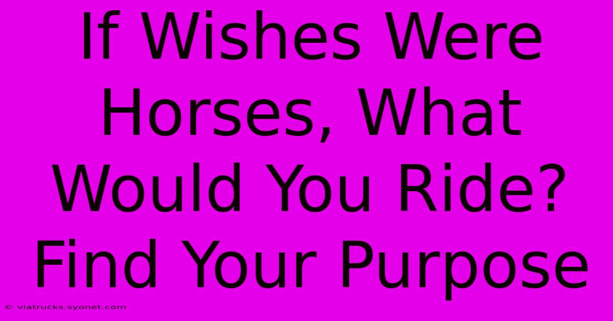 If Wishes Were Horses, What Would You Ride? Find Your Purpose