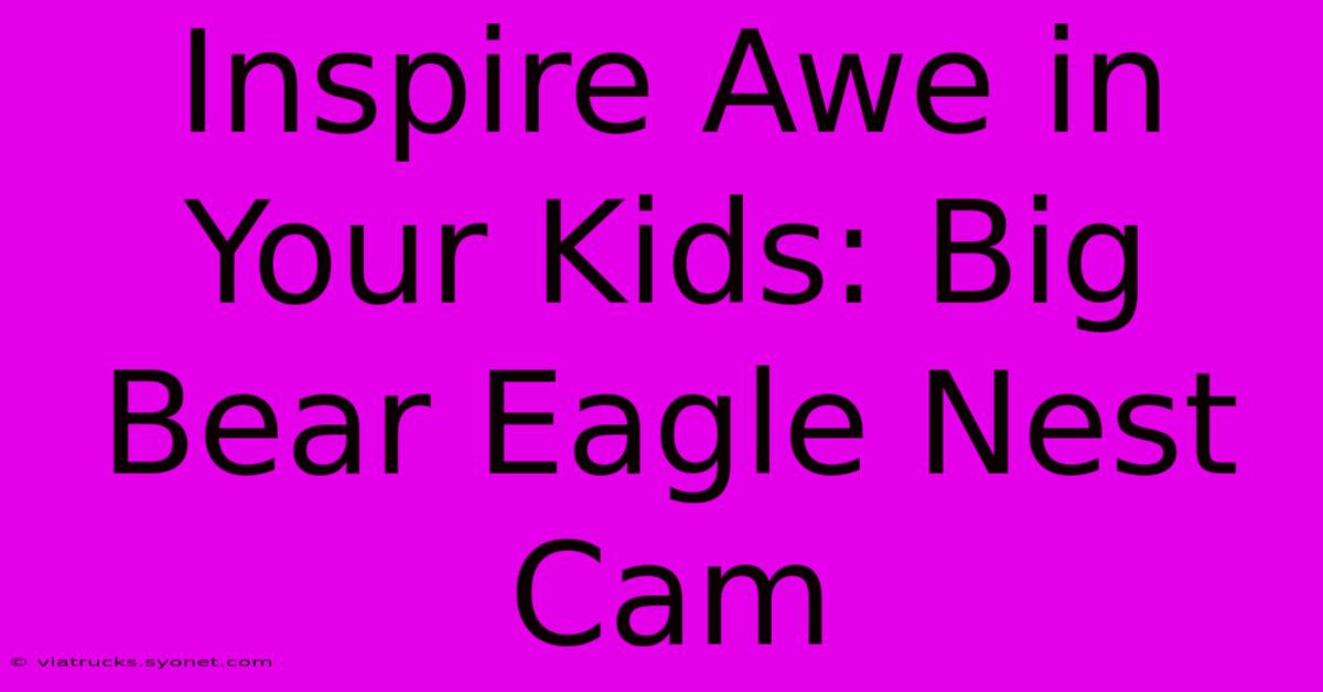 Inspire Awe In Your Kids: Big Bear Eagle Nest Cam