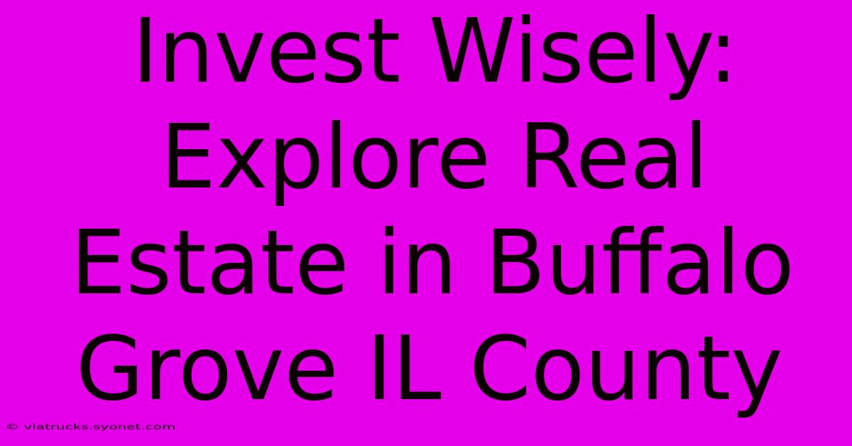 Invest Wisely: Explore Real Estate In Buffalo Grove IL County