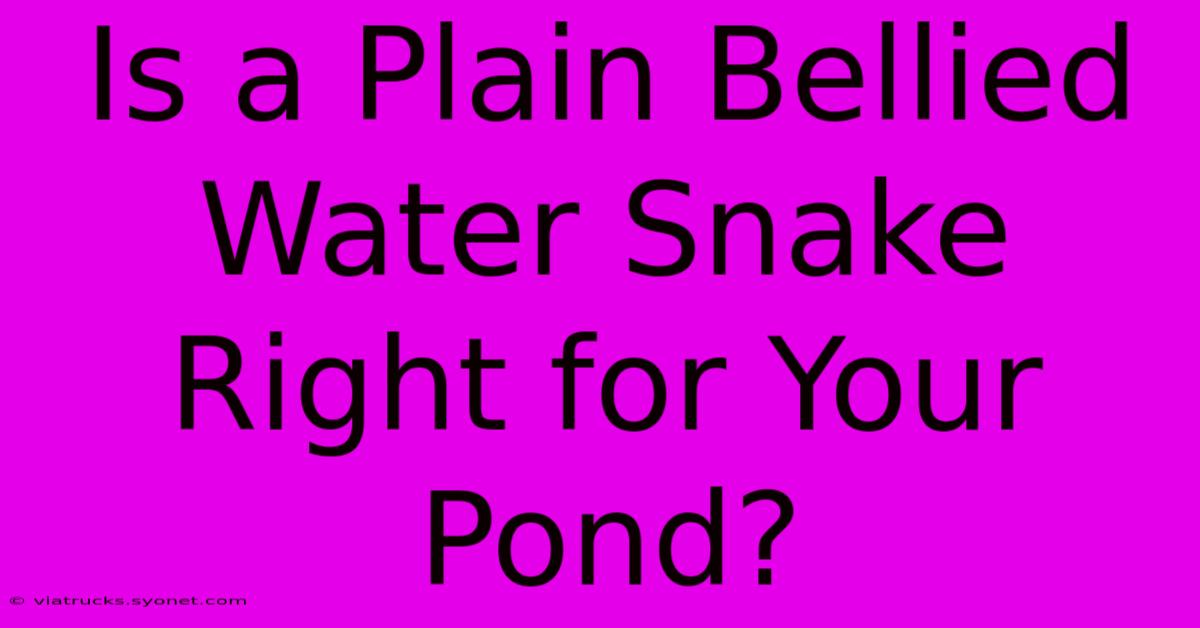 Is A Plain Bellied Water Snake Right For Your Pond?