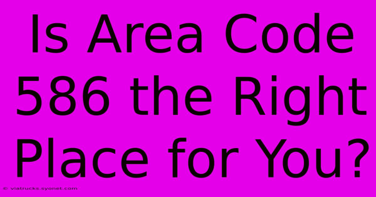 Is Area Code 586 The Right Place For You?