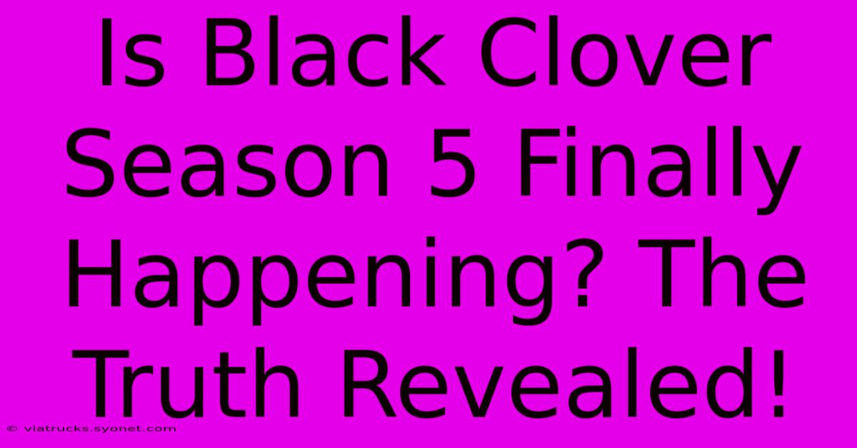 Is Black Clover Season 5 Finally Happening? The Truth Revealed!