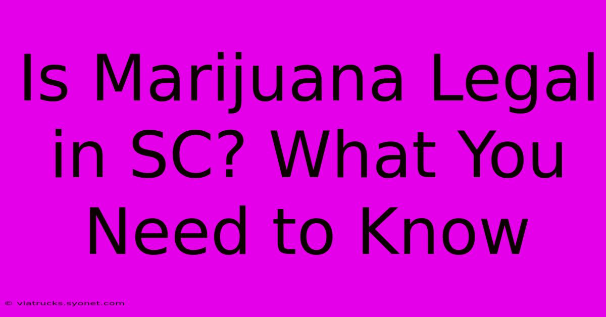 Is Marijuana Legal In SC? What You Need To Know