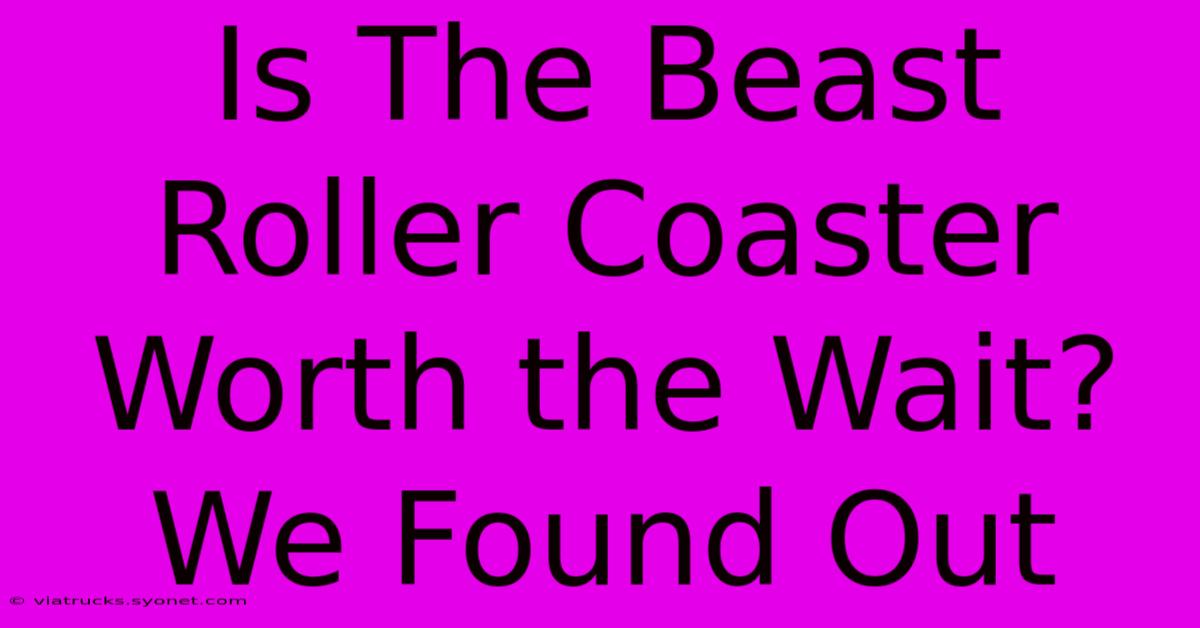 Is The Beast Roller Coaster Worth The Wait? We Found Out