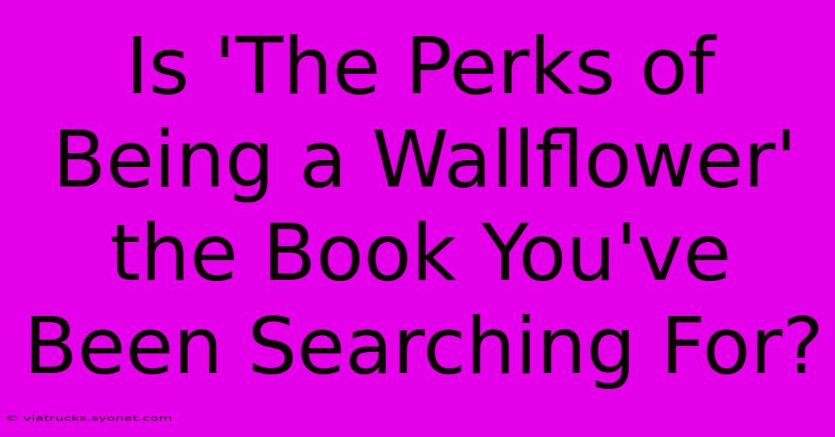 Is 'The Perks Of Being A Wallflower' The Book You've Been Searching For?