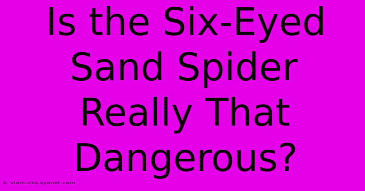 Is The Six-Eyed Sand Spider Really That Dangerous?