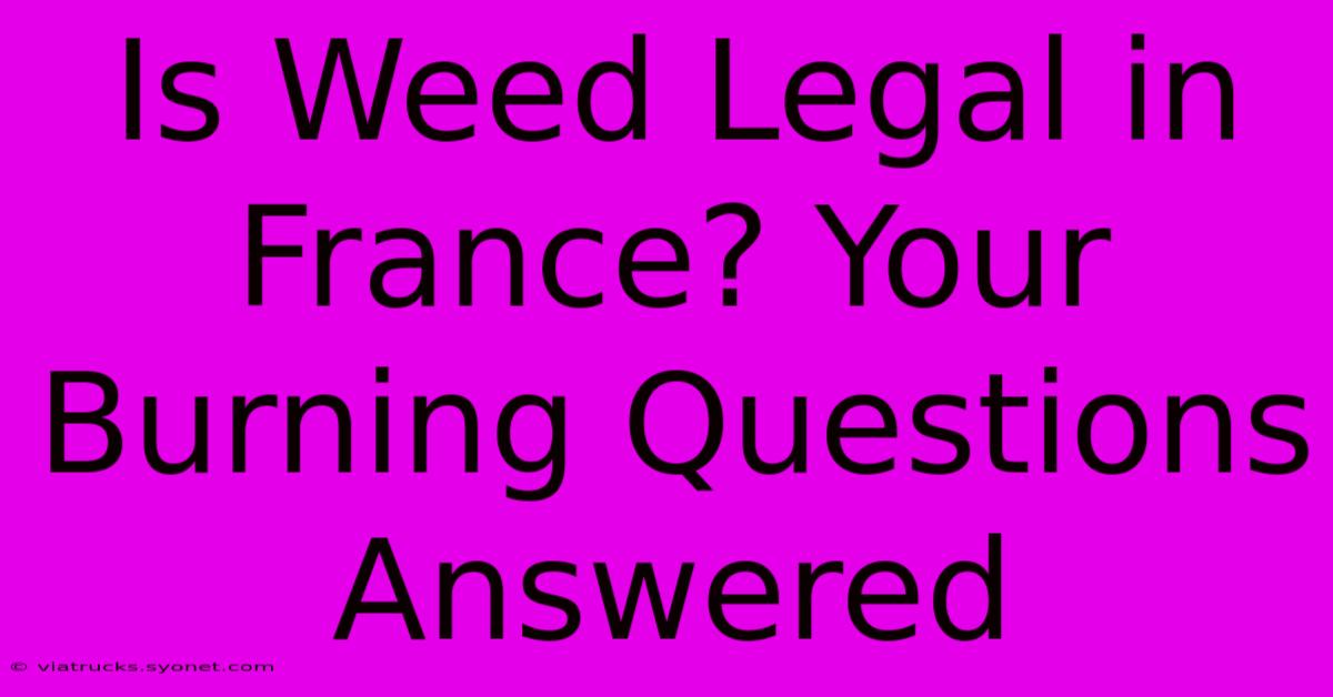 Is Weed Legal In France? Your Burning Questions Answered