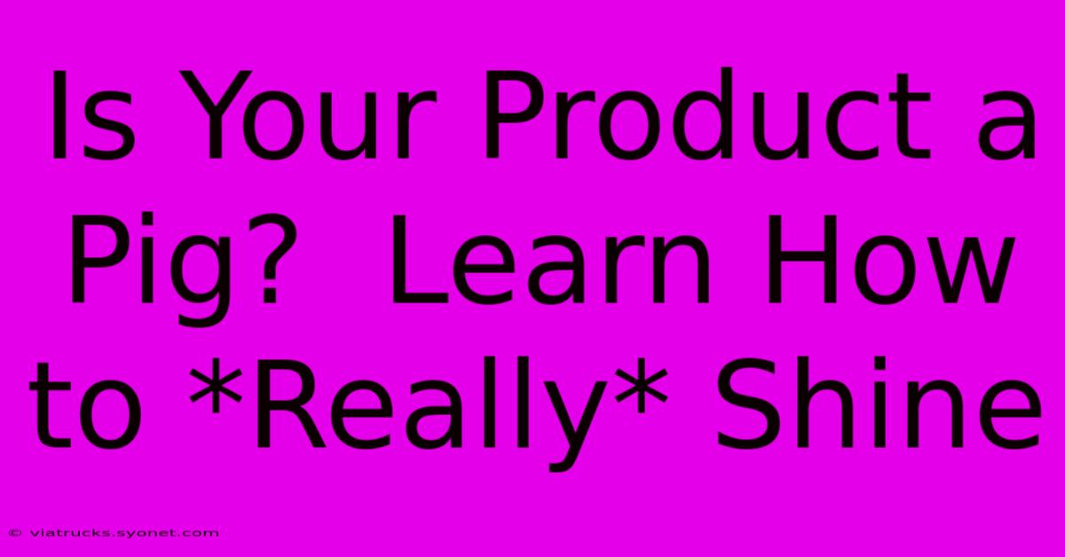 Is Your Product A Pig?  Learn How To *Really* Shine