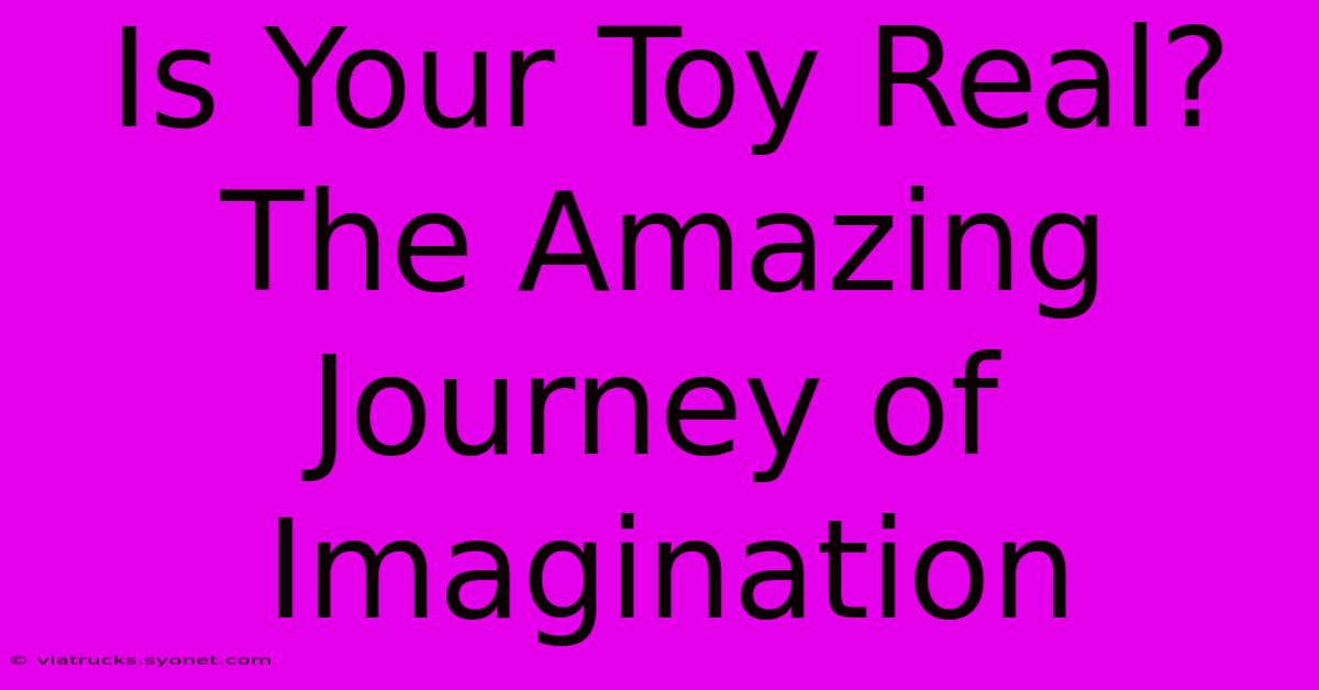 Is Your Toy Real? The Amazing Journey Of Imagination