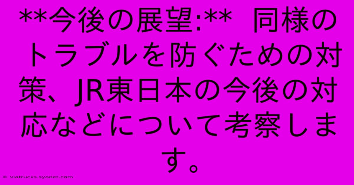 **今後の展望:**  同様のトラブルを防ぐための対策、JR東日本の今後の対応などについて考察します。