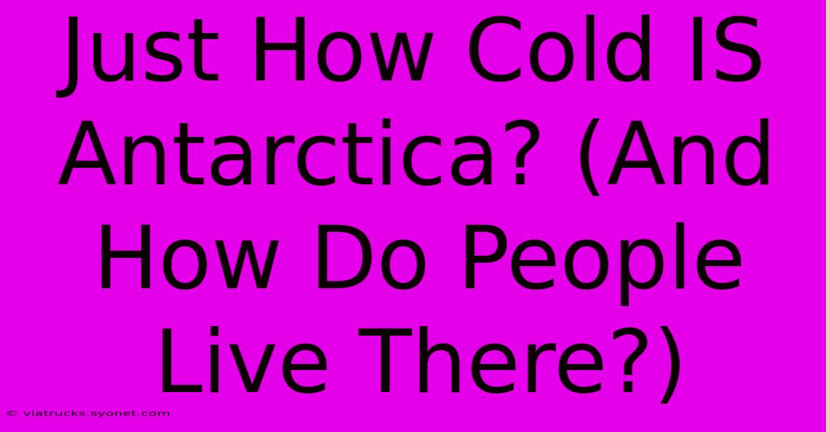 Just How Cold IS Antarctica? (And How Do People Live There?)