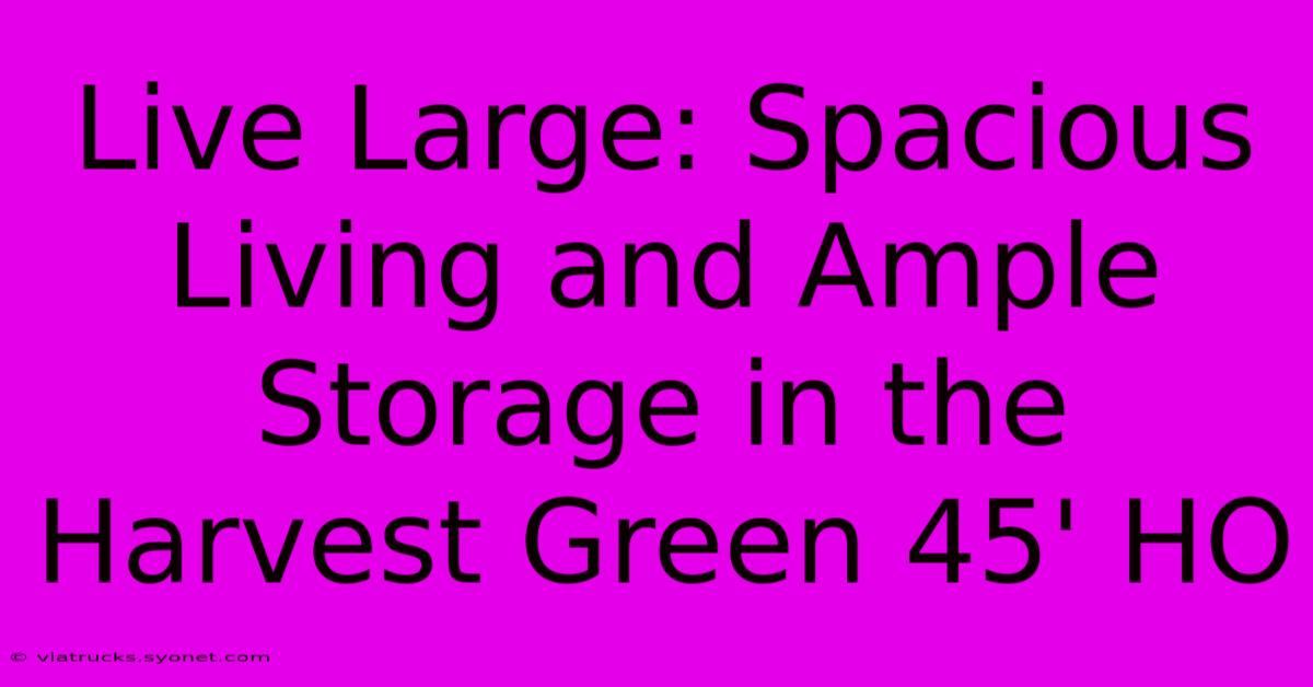 Live Large: Spacious Living And Ample Storage In The Harvest Green 45' HO