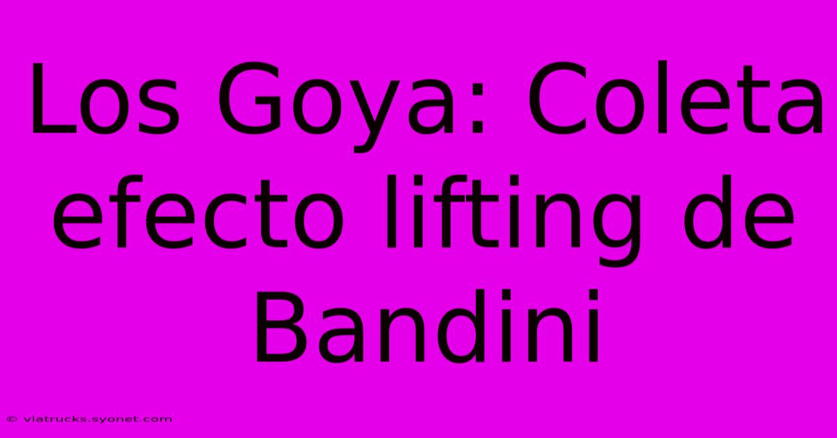 Los Goya: Coleta Efecto Lifting De Bandini