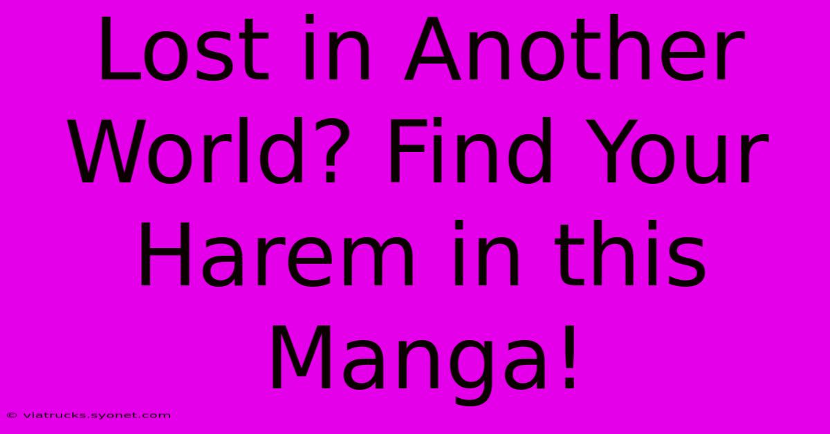 Lost In Another World? Find Your Harem In This Manga!