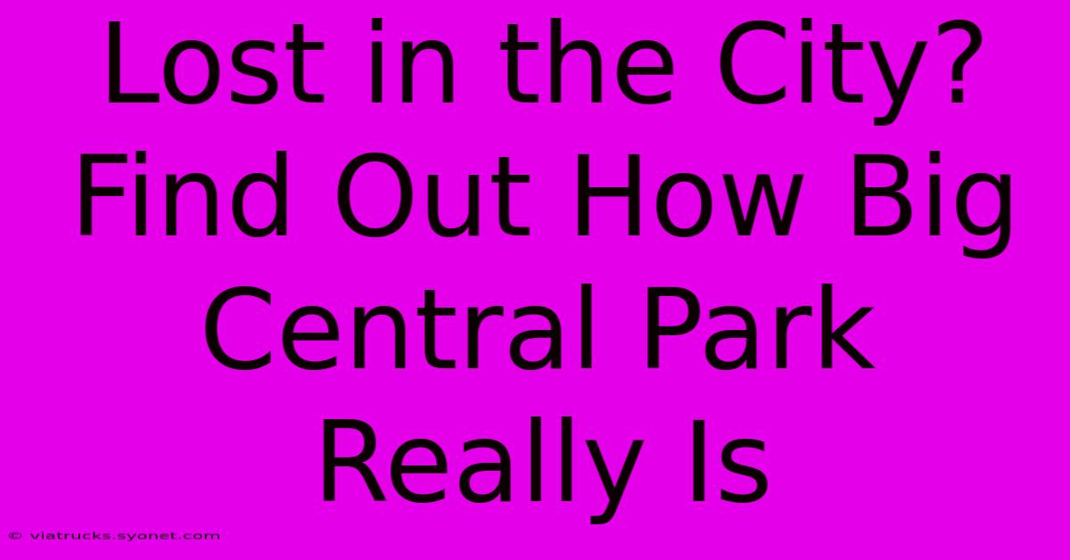 Lost In The City? Find Out How Big Central Park Really Is