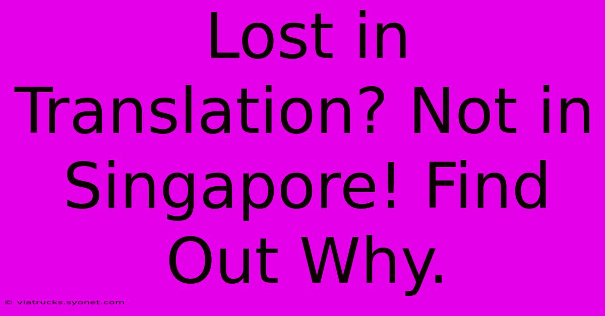 Lost In Translation? Not In Singapore! Find Out Why.