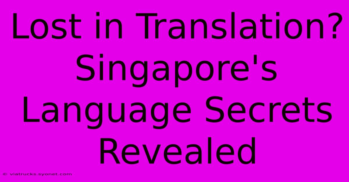 Lost In Translation? Singapore's Language Secrets Revealed