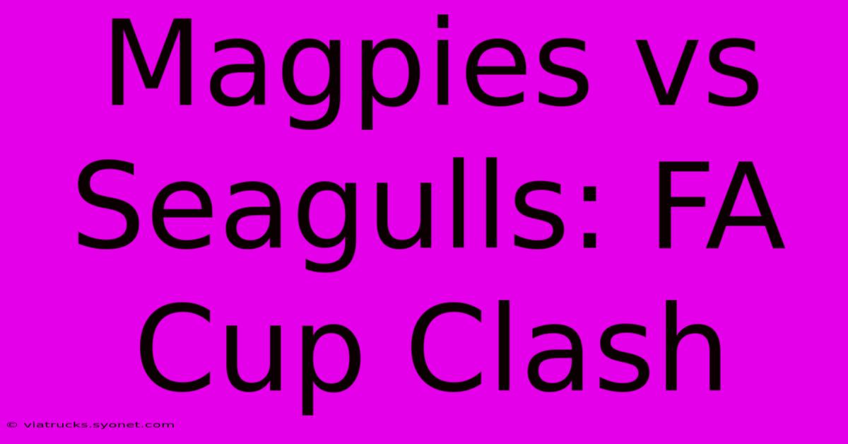 Magpies Vs Seagulls: FA Cup Clash