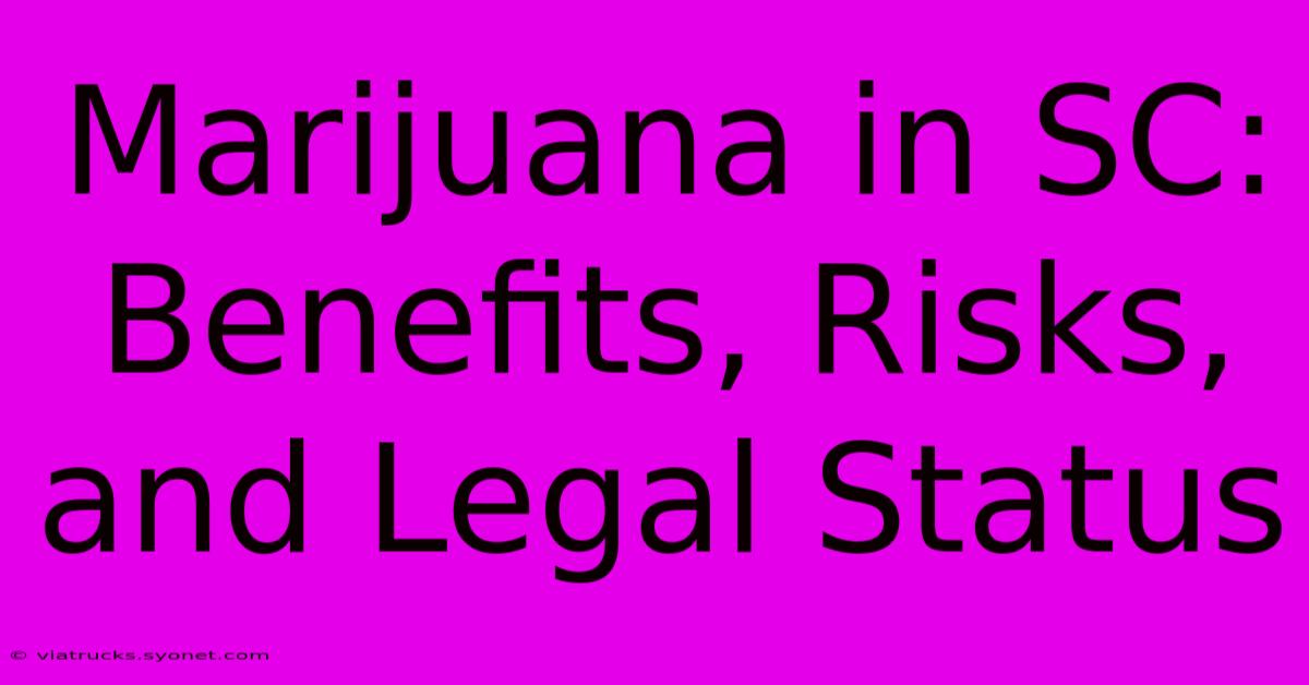 Marijuana In SC: Benefits, Risks, And Legal Status