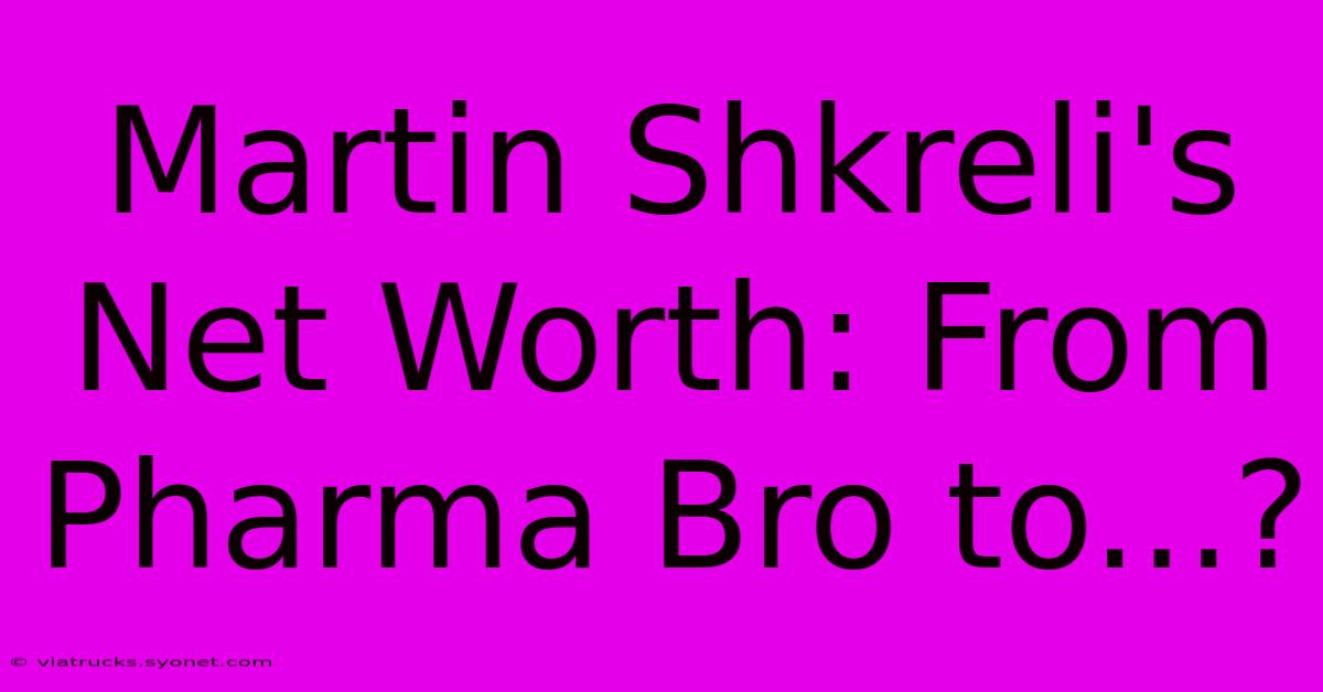 Martin Shkreli's Net Worth: From Pharma Bro To...?