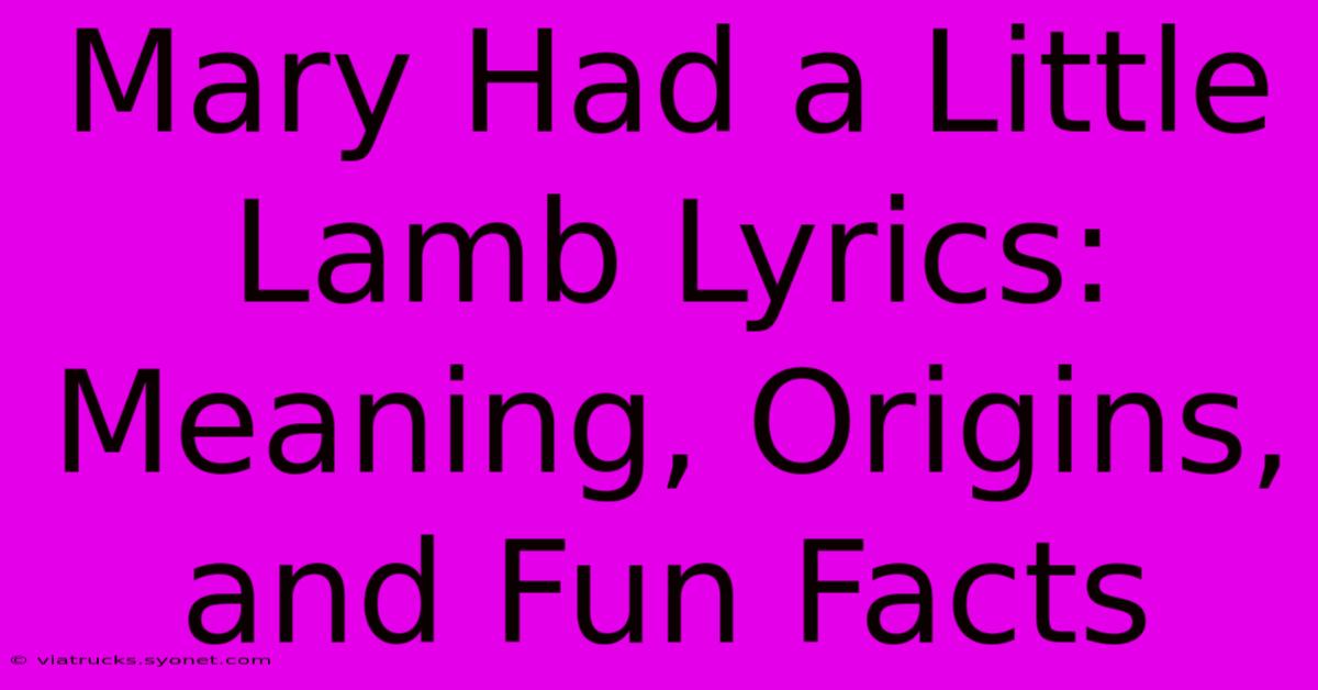 Mary Had A Little Lamb Lyrics: Meaning, Origins, And Fun Facts