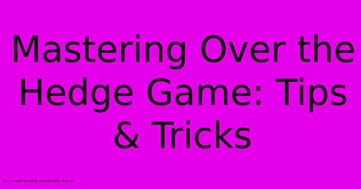 Mastering Over The Hedge Game: Tips & Tricks