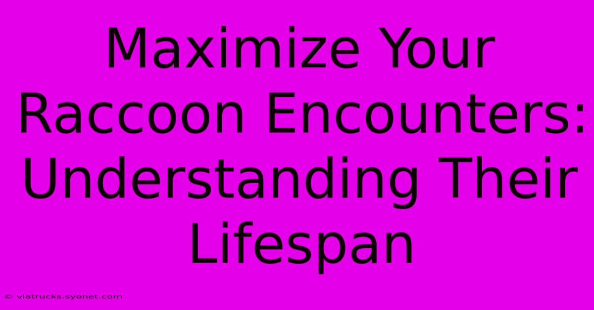 Maximize Your Raccoon Encounters: Understanding Their Lifespan