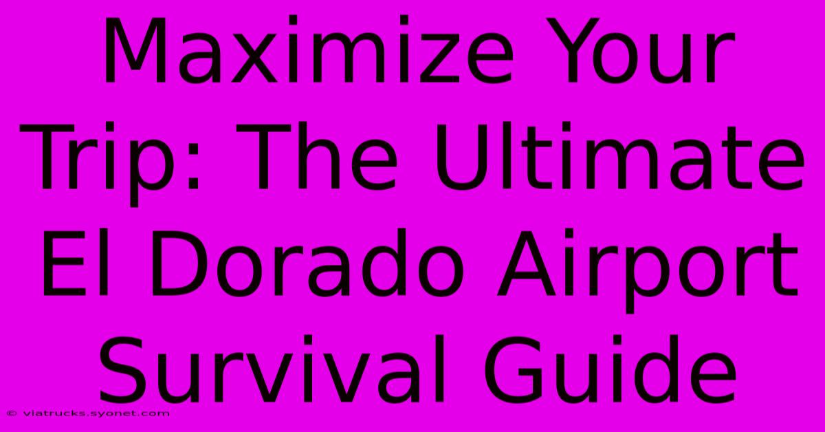 Maximize Your Trip: The Ultimate El Dorado Airport Survival Guide