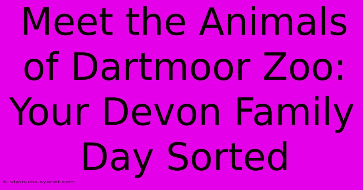 Meet The Animals Of Dartmoor Zoo: Your Devon Family Day Sorted