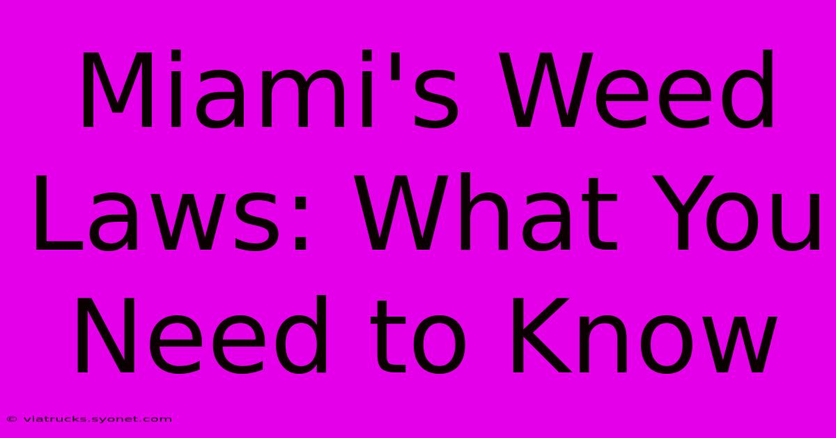 Miami's Weed Laws: What You Need To Know