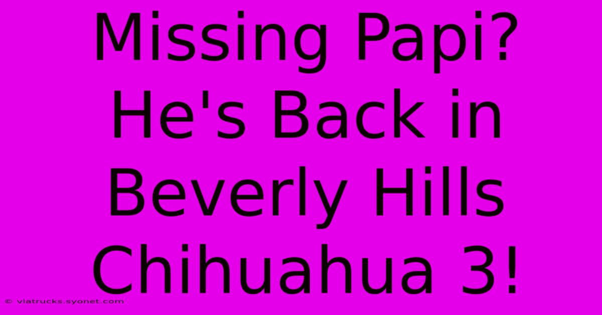 Missing Papi? He's Back In Beverly Hills Chihuahua 3!