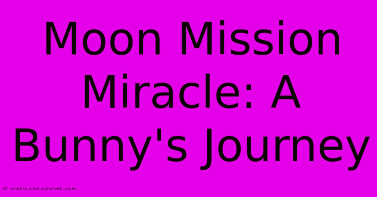 Moon Mission Miracle: A Bunny's Journey