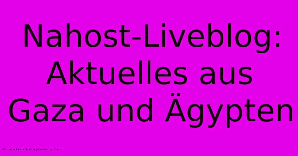 Nahost-Liveblog: Aktuelles Aus Gaza Und Ägypten