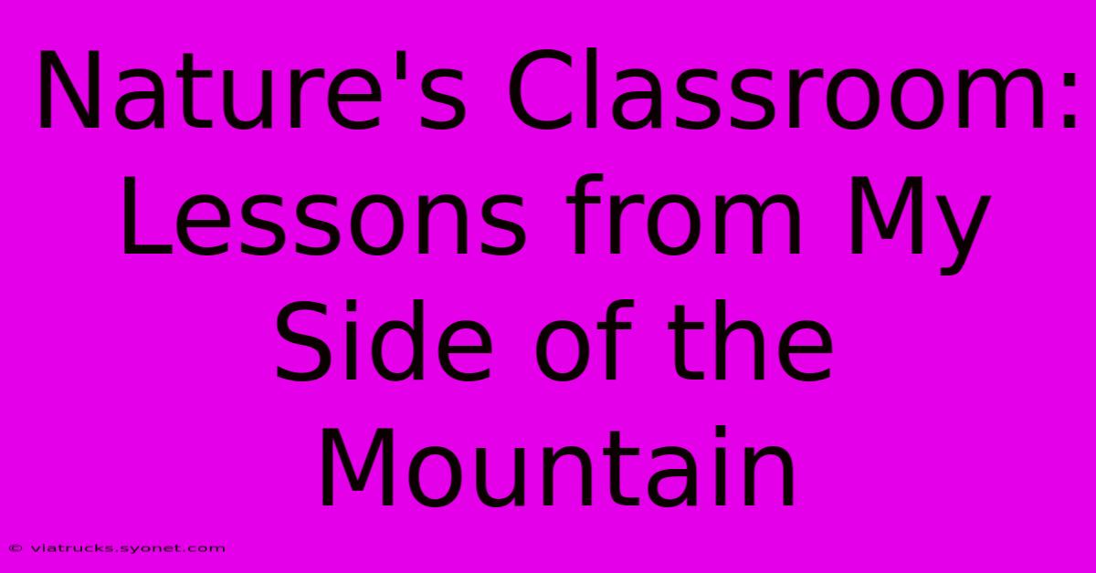 Nature's Classroom:  Lessons From My Side Of The Mountain