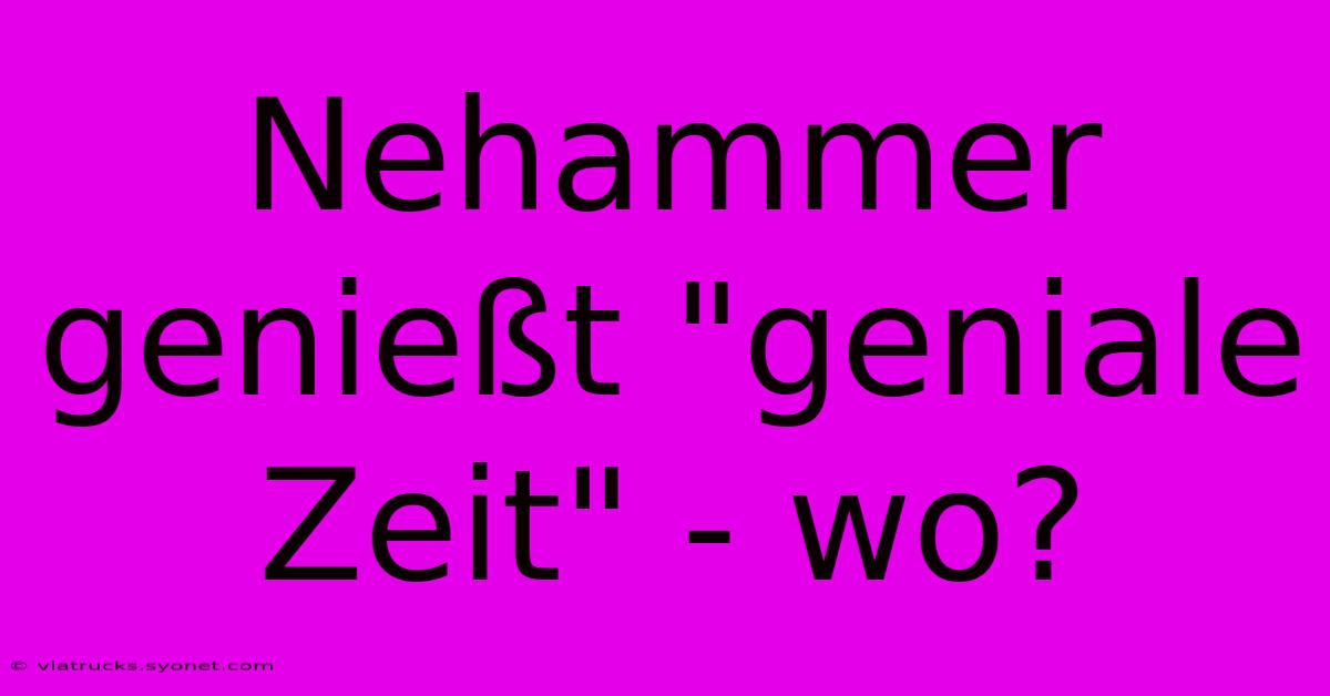 Nehammer Genießt 