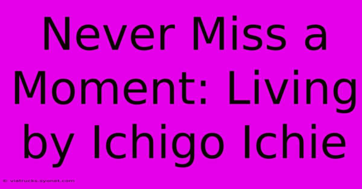 Never Miss A Moment: Living By Ichigo Ichie