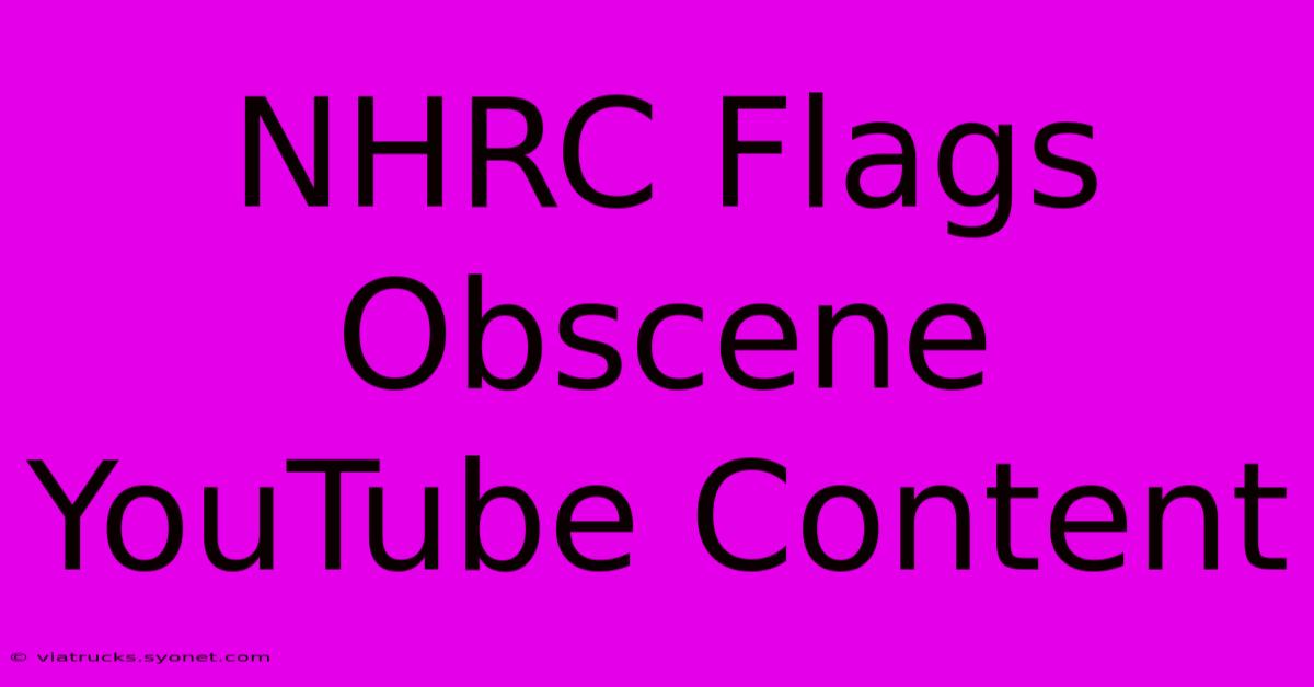 NHRC Flags Obscene YouTube Content