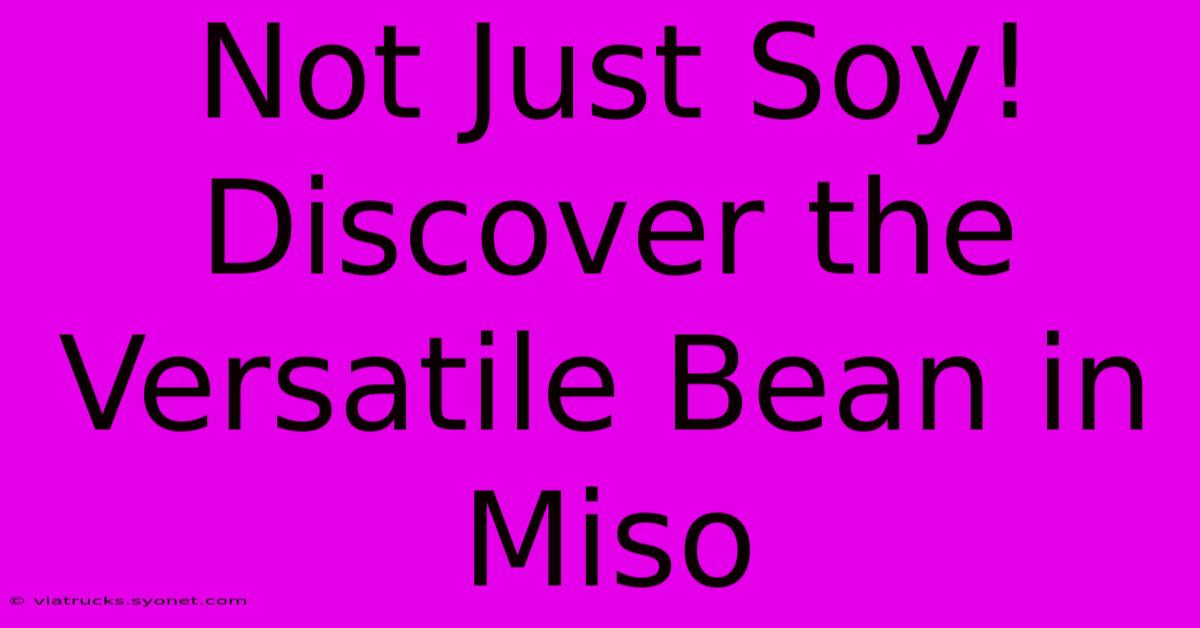 Not Just Soy! Discover The Versatile Bean In Miso